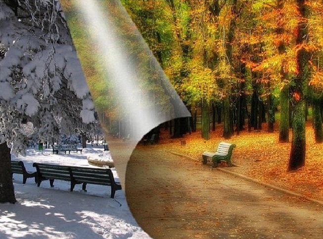 Из тумана поздней осени...