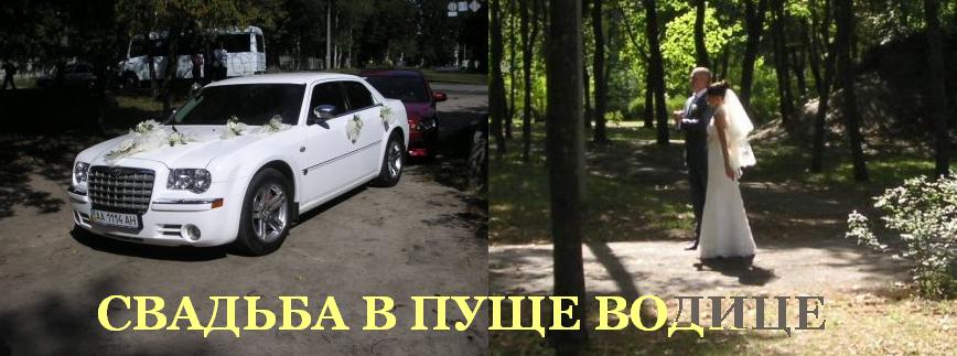 Свадьба в Пуще Водице
