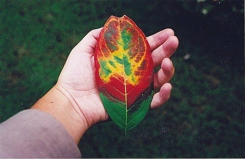 дизайнерские руки спасут твоё сердце