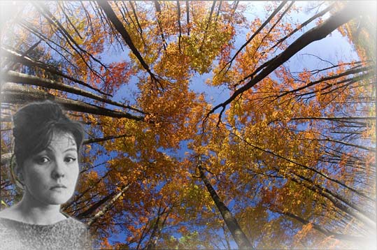 В ту осень так горели маяки. Белле Ахмадулиной