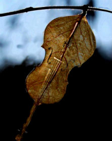 Последний День Лета...