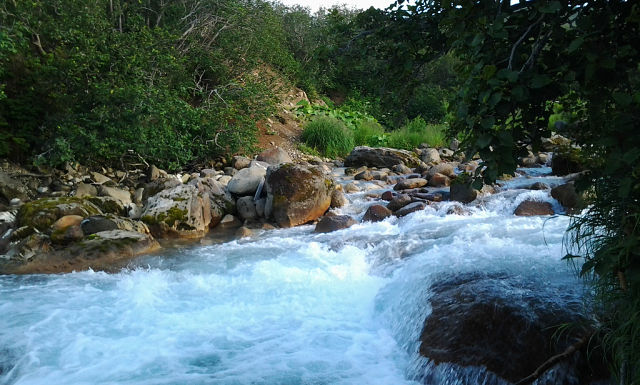 Ну вот и осень подошла (Екатерина Беликова Греченко) / Стихи.ру