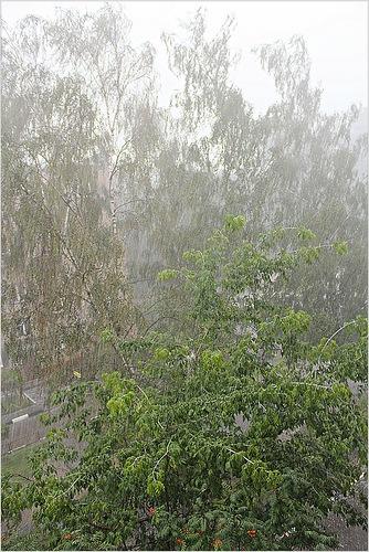 Дождливый день