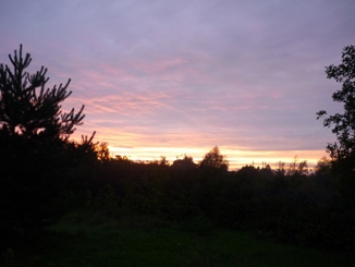 В розовые облака