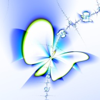 Бабочки играют!