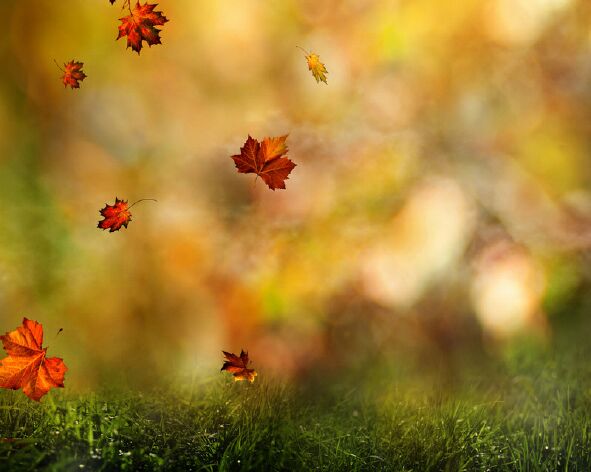 Ах, осень!