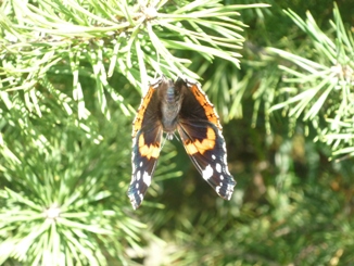 Облака повисли недвижимо