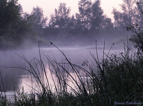 Слайды. Тишина