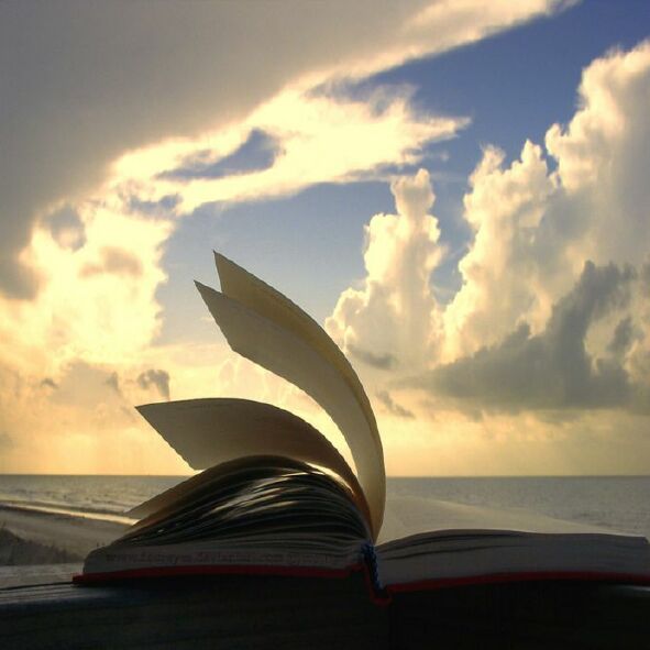 О, безымянный мой читатель...