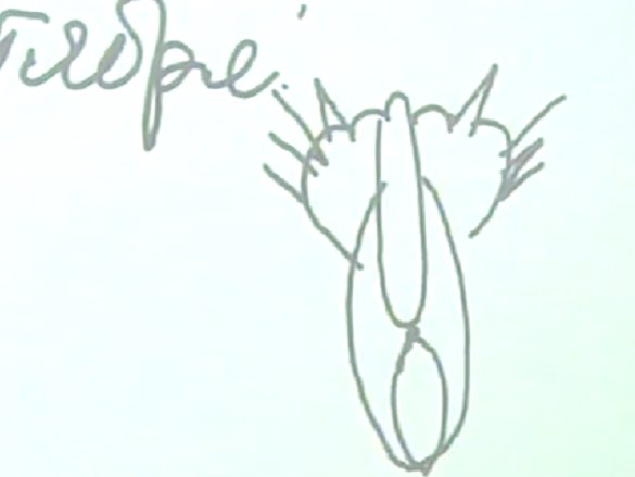 Предстоящим выборам