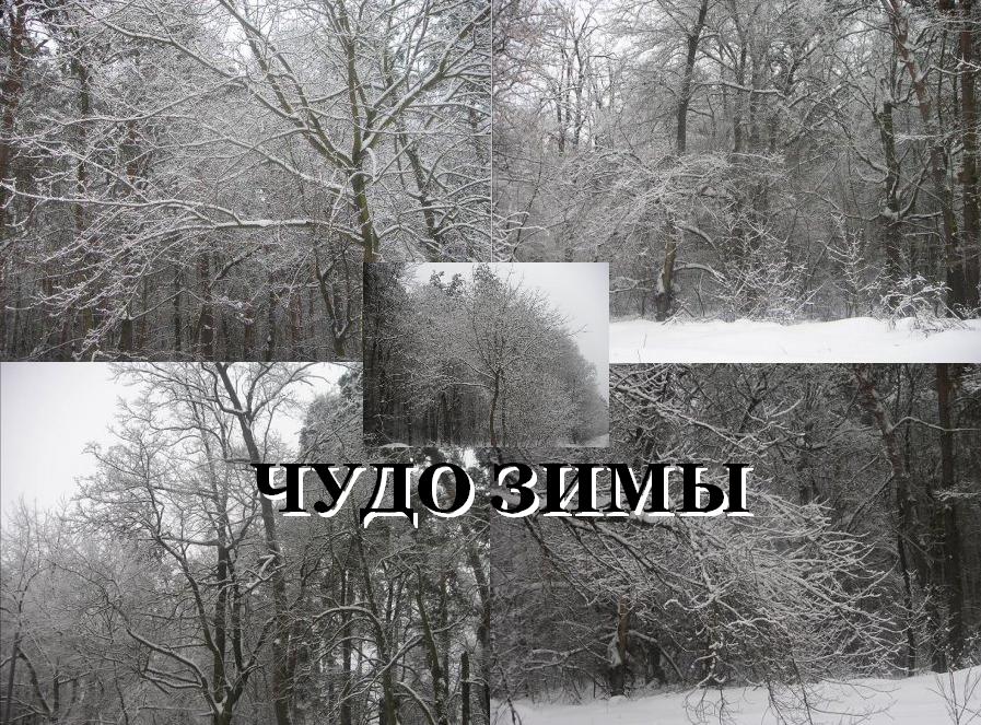Чудо зимы