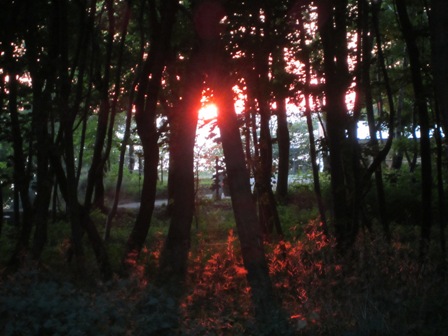 Смотри, оранжевое солнце!