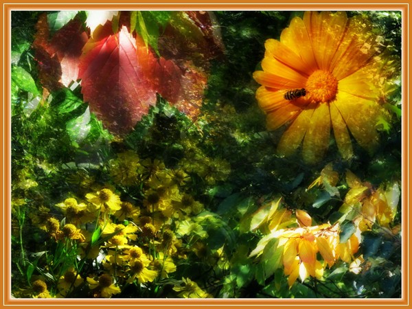 Золото листьев