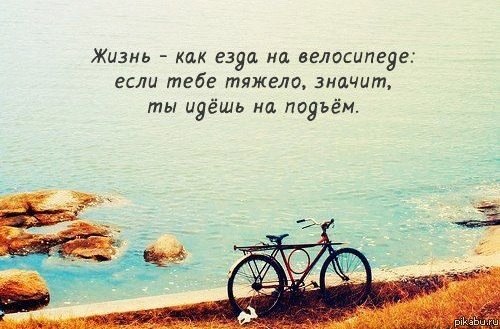 Жить чище легче, чем грешить...