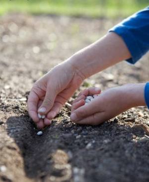 Роберт Фрост - Putting In The Seed