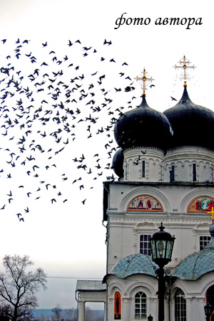 В пять вечера на улице Московской