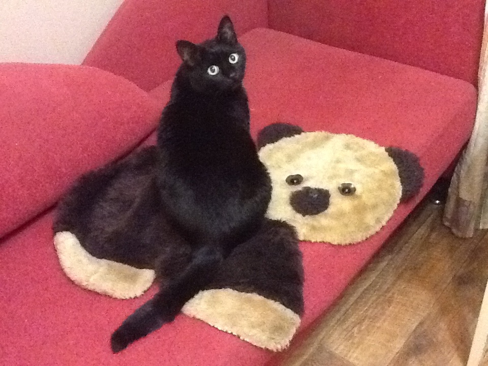 Охотник... Сэнрю