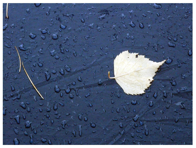 Сделка с Осенью