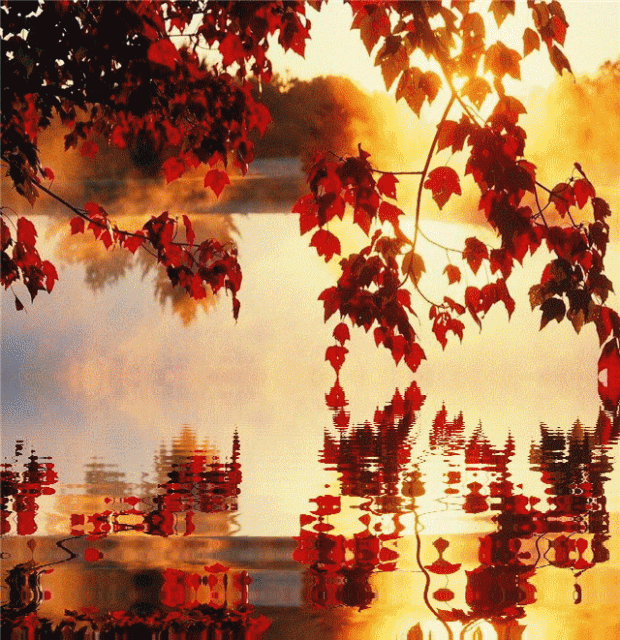 Мы пойдем с тобой в осень, любимый