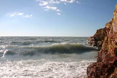 Посвящение Сары - Шагану