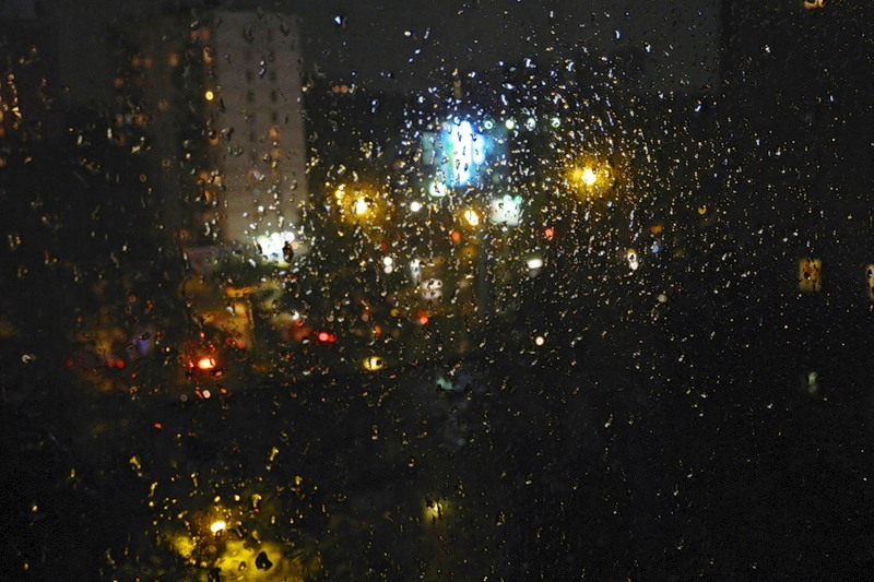 опять дождь. опять идут дожди. кот и дождик. день прогулок под дождем. дождь надоел.