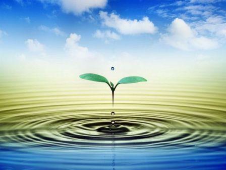 Выпускникам