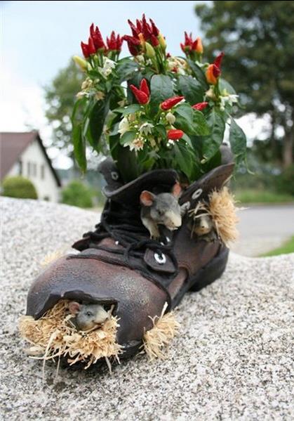 Любой башмак в хозяйстве может пригодится...