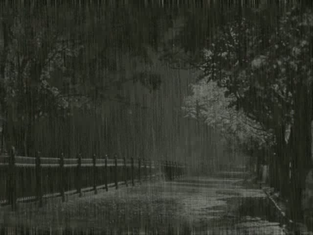 На улице сыро...