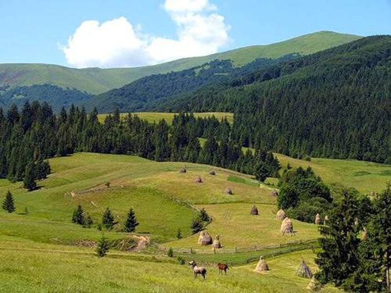 Карпаты Гуцульская деревня