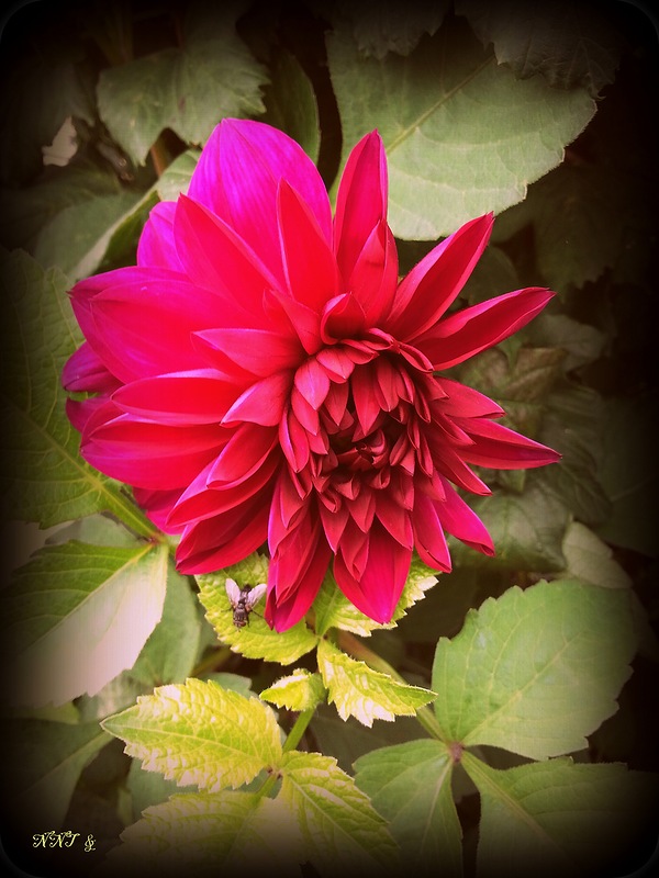 Душа же счастья просит