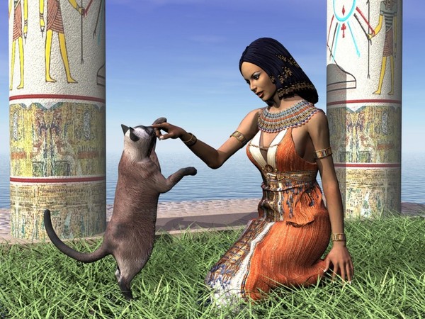 Баллада о мыше