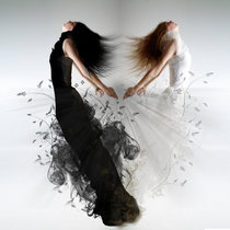 Освобождение...