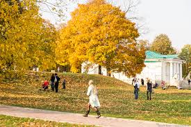 Парковое вдохновенье