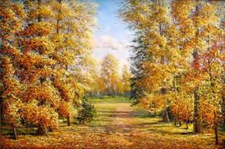 Какая полоса?