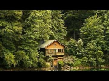 Оазис любви