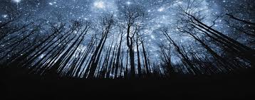 Звездная любовь