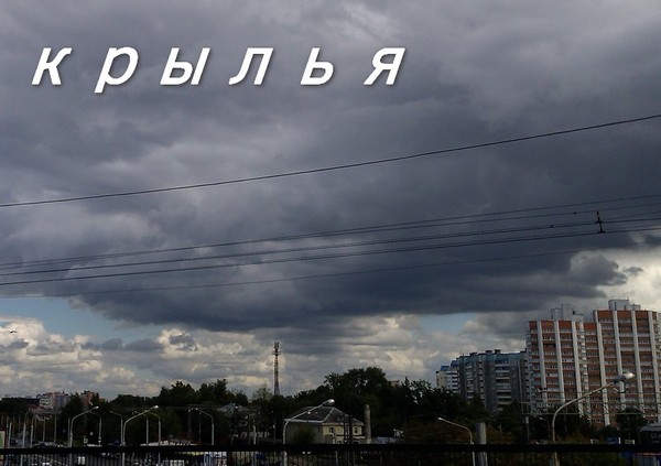 Крылья