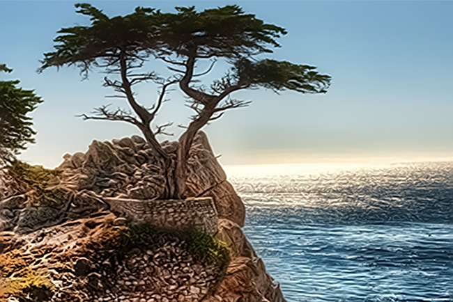 Закон Любви