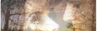 Статистический шестой