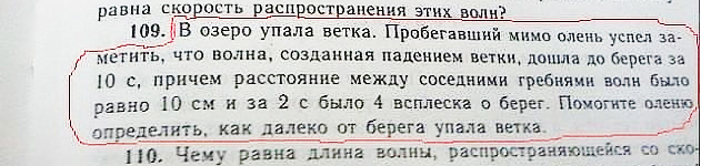 Задачи про озеро. Задача про оленя. Задачка про оленя и ветку. В озеро упала ветка пробегавший мимо олень. Задача про оленя и упавшую.