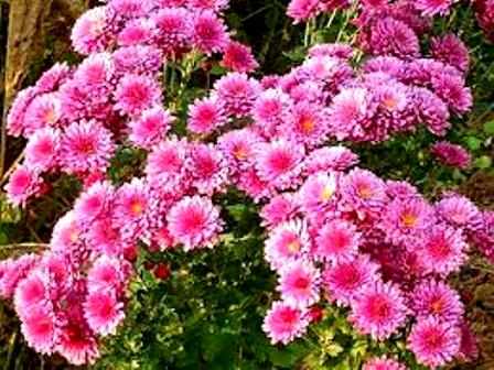 Зимою не счесть