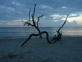 А на море пошел снег!