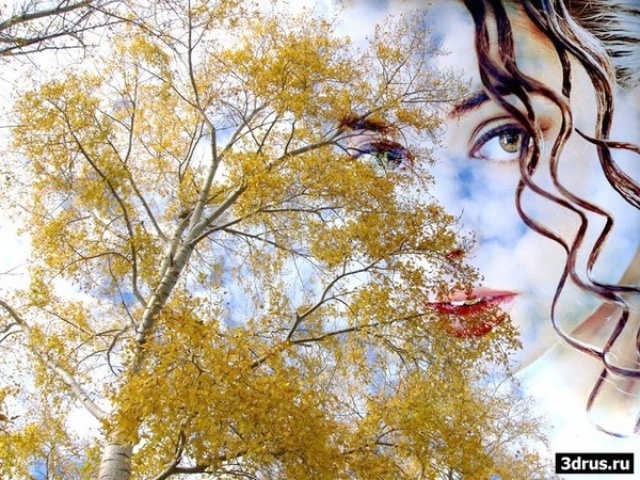 Ах, где взять волшебные вёсла?