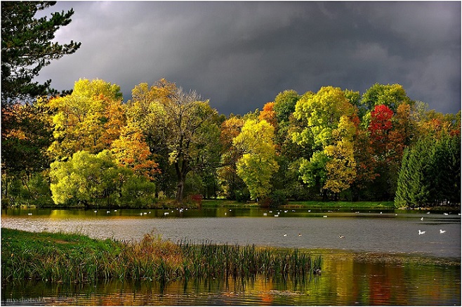 Идеальная буря