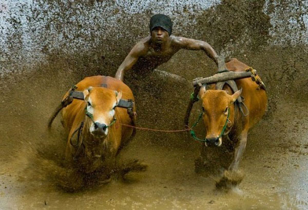 Задание на 4 тур 7 самураев