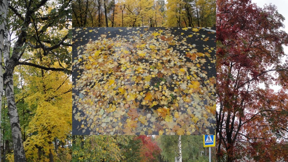 Потворство баловства