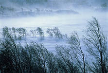 Снежная симфония