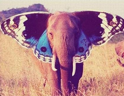 Зачатки буддизма