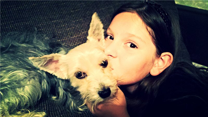 Маффины или собакин-ты друг!