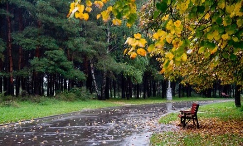 Осеннее творчество